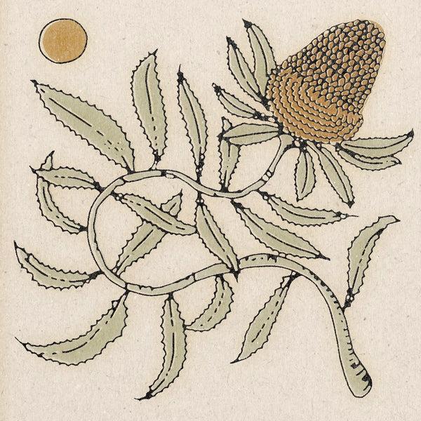 Banksia Flower Print